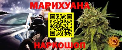 молекула духа Будённовск