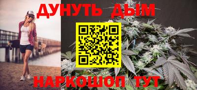 молекула духа Будённовск