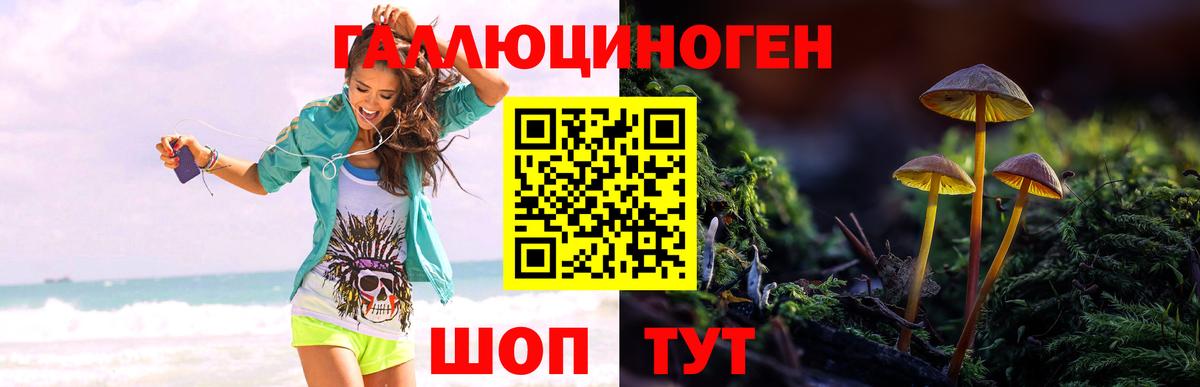 Галлюциногенные грибы мухоморы Лесозаводск